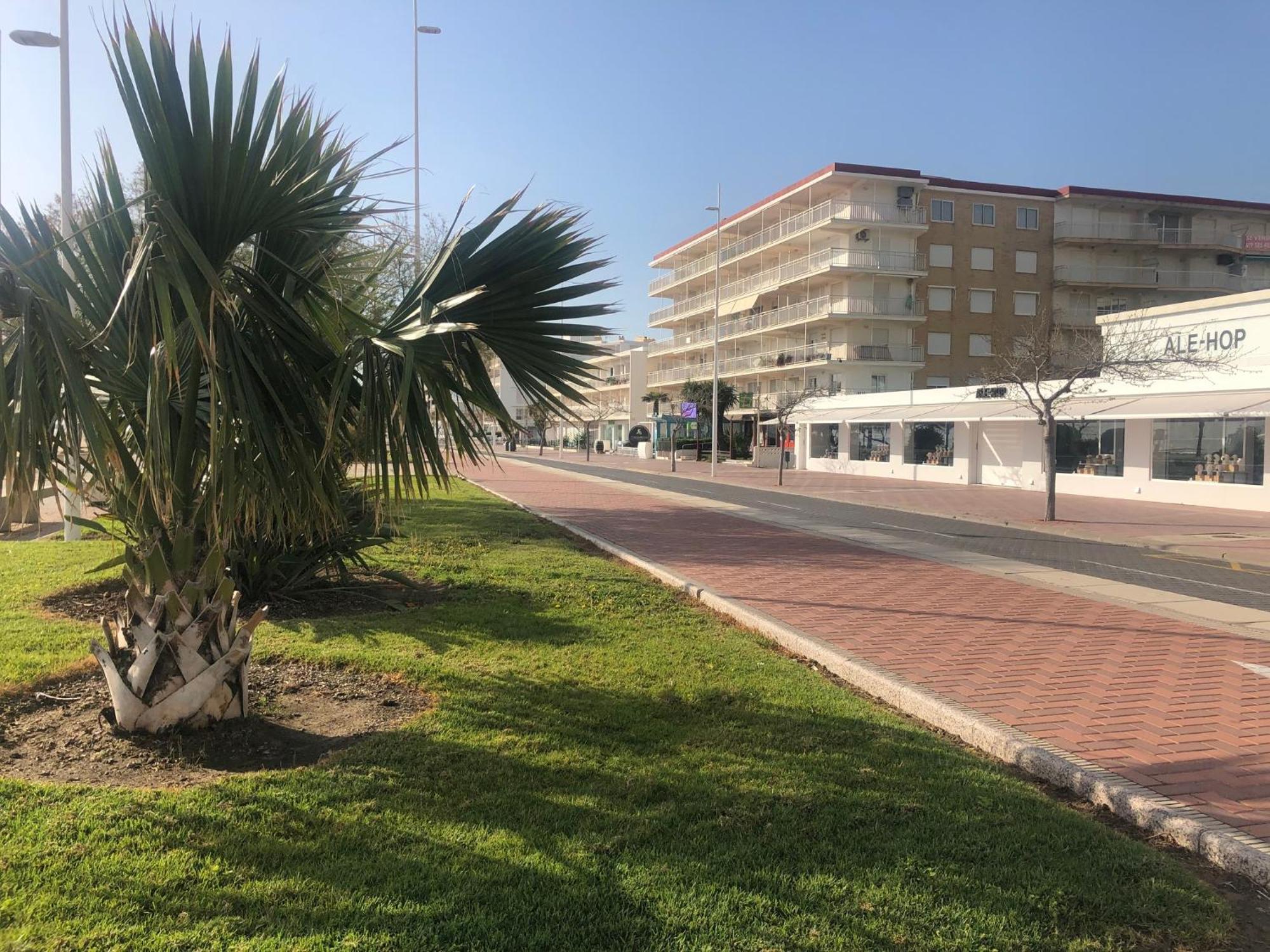 Playa De Gandia 1Ere Ligne El Galeon 아파트 외부 사진